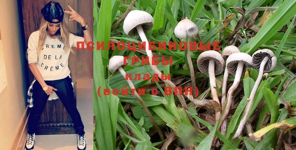 крисы Михайлов