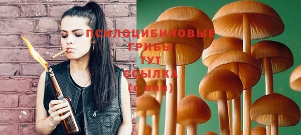 PSILOCYBIN Михайловск